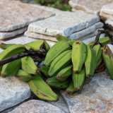 ...di frutti gialli